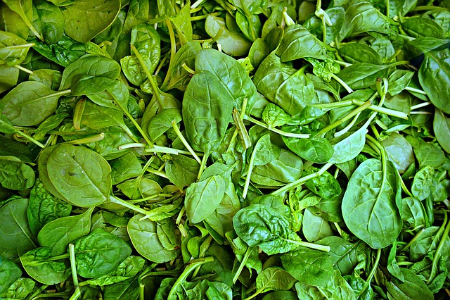Eating Your Greens – So What’s All The Fuss About?